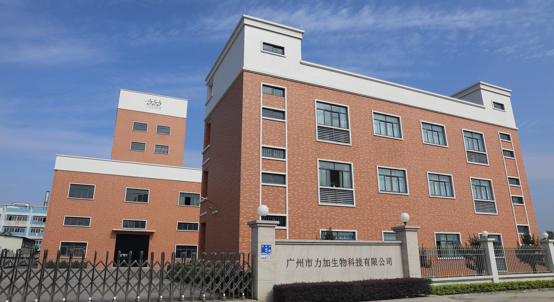 维生素系列